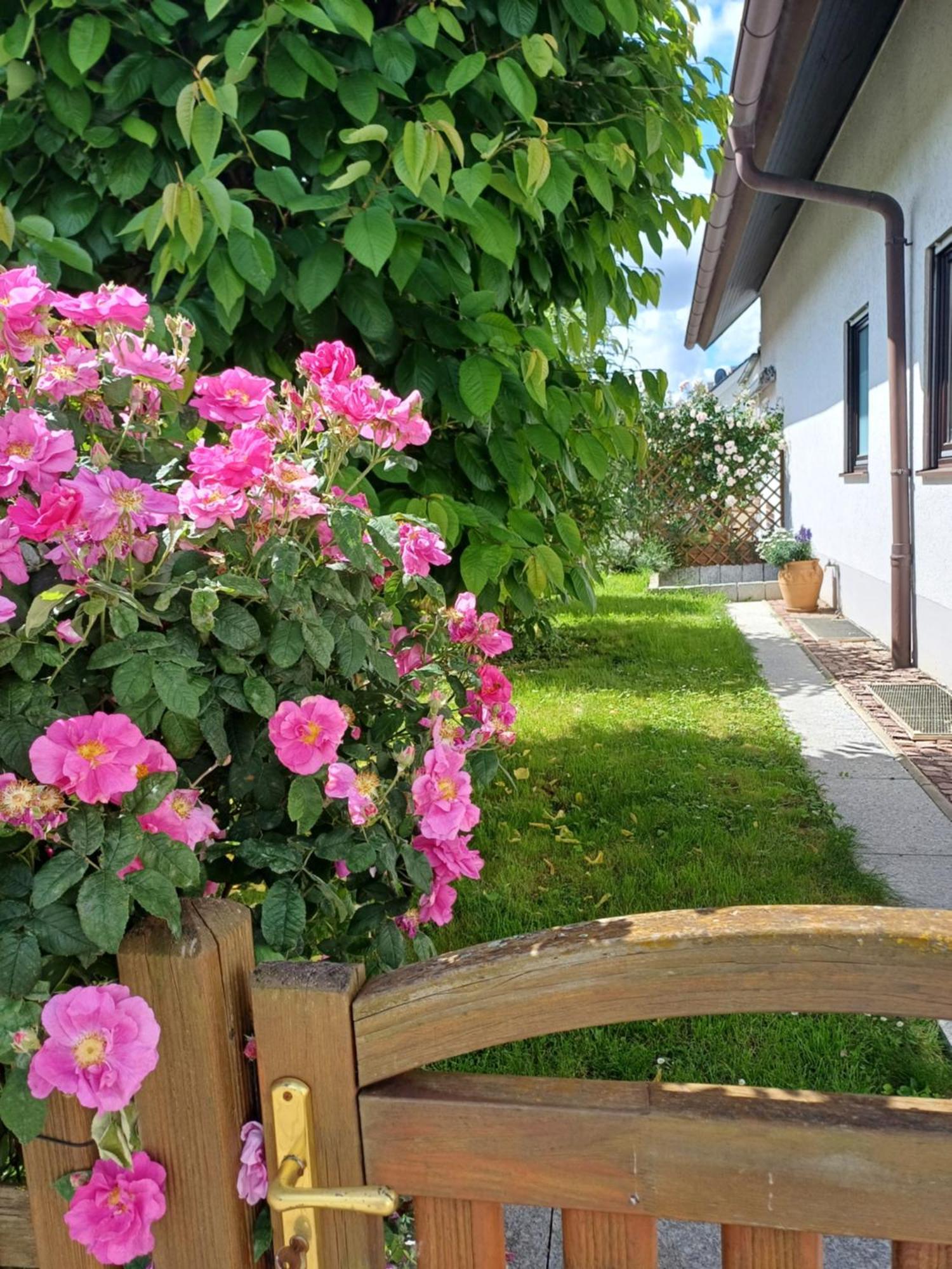 Ferienwohnung Unter Dem Sonnberg Auggen Kültér fotó
